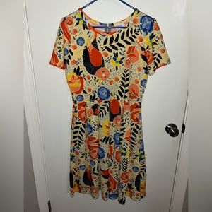 Beautiful bird pattern Lularoe Amelia dress